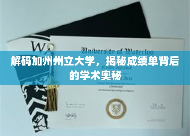 解码加州州立大学，揭秘成绩单背后的学术奥秘
