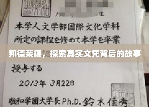 邦德荣耀，探索真实文凭背后的故事