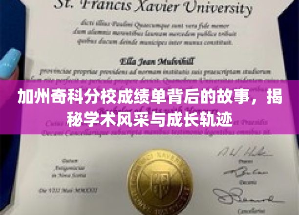 解码加州奇科分校，成绩单背后的成长传奇与学术之光