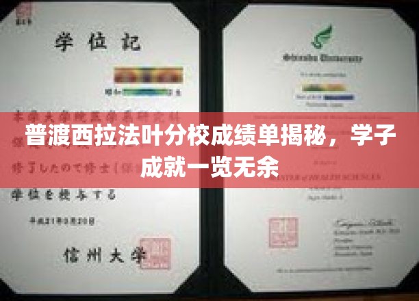 普渡西拉法叶分校成绩单揭秘，学子成就一览无遗
