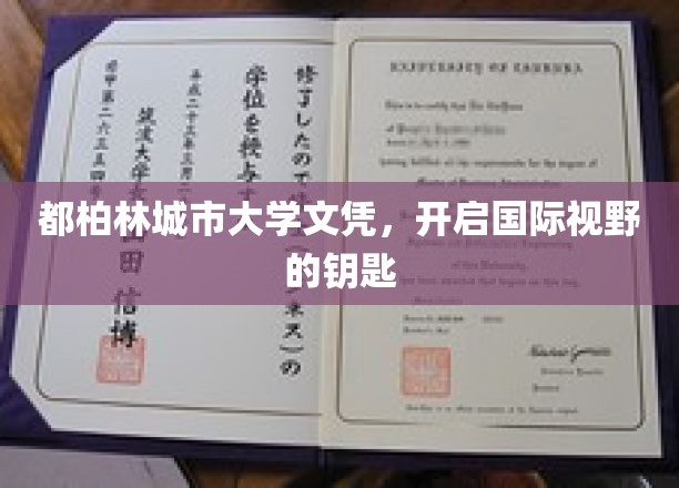 解锁全球视野，都柏林城市大学文凭，开启你的国际之门