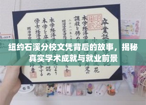 纽约石溪分校文凭背后的故事，揭秘真实学术成就与广阔就业前景