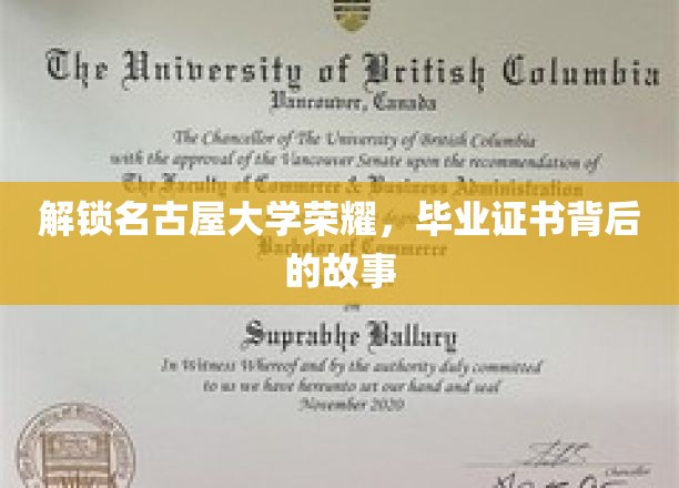 名古屋大学荣耀揭秘，毕业证书背后的传奇历程