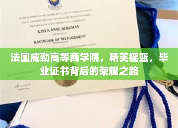 法国威勒高等商学院：精英摇篮，毕业证书背后的荣耀之路