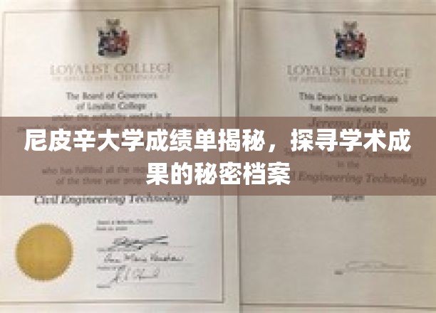尼皮辛大学成绩单揭秘，探寻学术成果的秘密档案