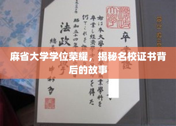 麻省大学学位荣耀，揭秘名校证书背后的故事