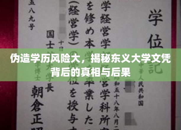 东义大学文凭疑云，伪造学历的代价与后果深度剖析