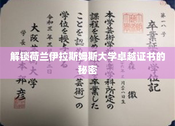 荷兰伊拉斯姆斯大学证书背后的非凡奥秘揭秘