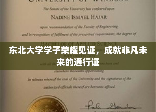 东北学子荣耀绽放，开启非凡未来之路的钥匙
