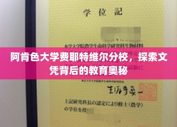 解码阿肯色大学，文凭背后的教育秘境