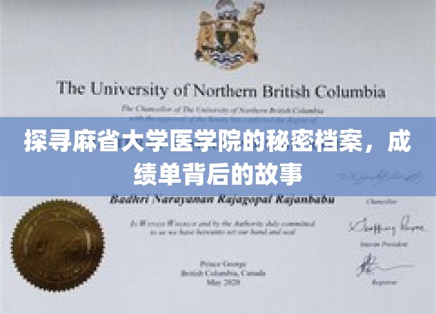 探寻麻省大学医学院的秘密档案，成绩单背后的故事