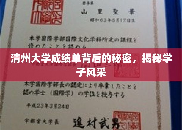 清州大学成绩单背后的秘密，展现学子风采