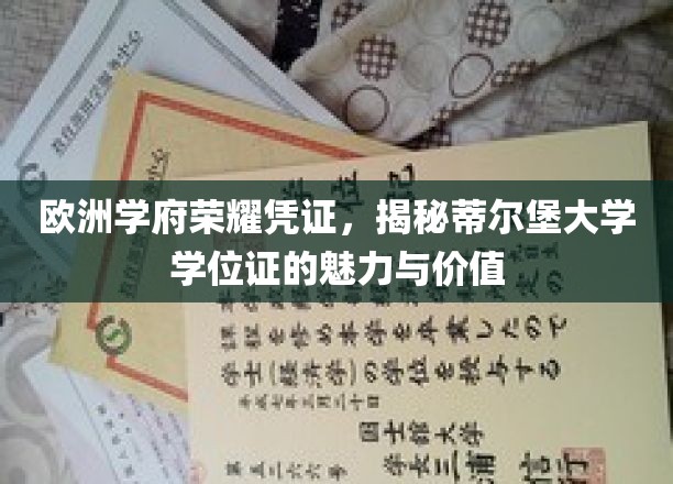 欧洲精英学府之证，蒂尔堡大学学位证的非凡魅力与深远影响