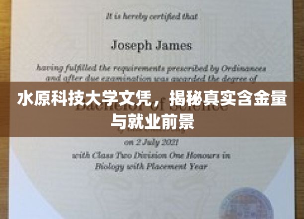 揭秘水原科技大学文凭，价值评估与就业潜力全解析