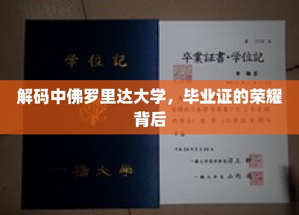 解码中佛罗里达大学，毕业证的荣耀背后