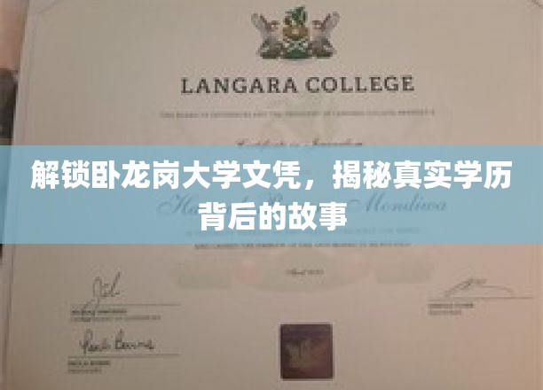卧龙岗大学文凭真相揭秘，学历背后的不为人知之谜