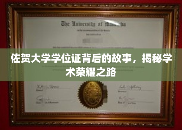 佐贺大学学位证，探寻荣耀背后的不凡历程