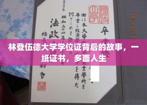 林登伍德大学学位证背后的故事：一纸证书，承载多面人生
