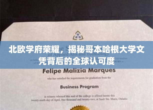 哥本哈根大学荣耀，北欧教育之光，全球文凭认可之谜揭晓
