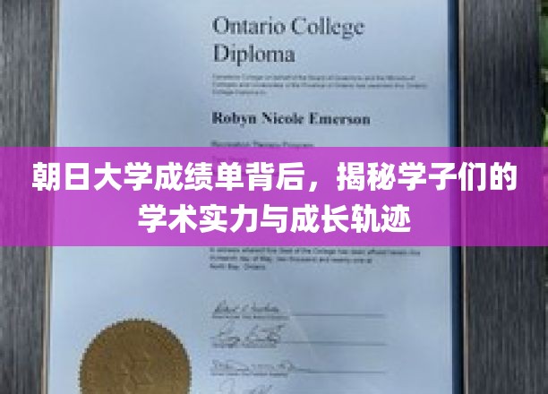 朝日大学成绩单背后，揭秘学子们的学术实力与成长轨迹