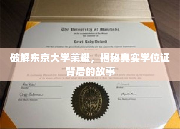 东京大学学位证之谜，揭开荣耀背后的真实面纱