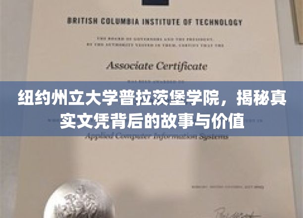 探寻纽约州立大学普拉茨堡学院文凭背后的传奇与价值