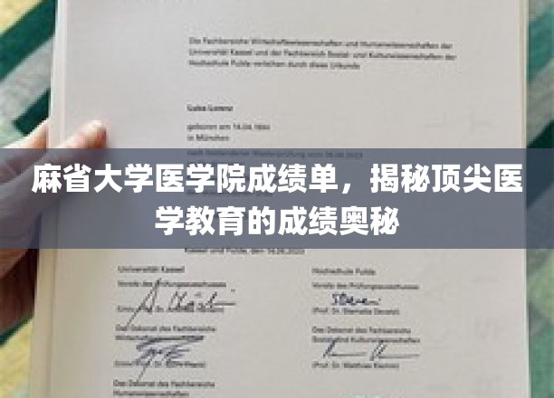 解码麻省大学医学院卓越成就，揭秘医学精英的养成之路