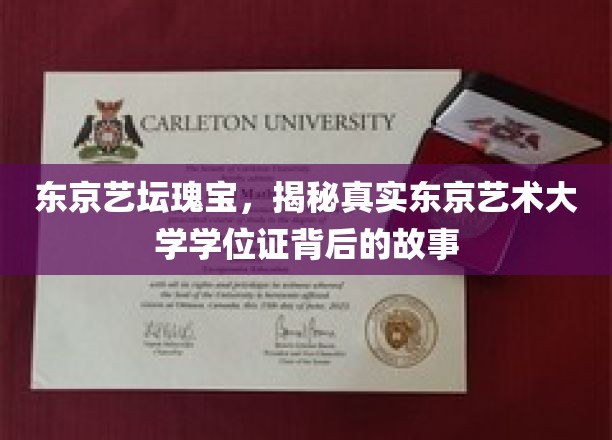 东京艺坛之谜，一探艺术大学学位证背后的传奇故事