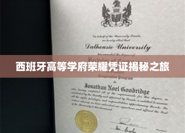 探寻西班牙顶尖学府的荣耀证书之谜