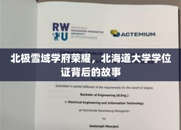 极地学府荣耀之光，北海道大学学位证背后的传奇之旅