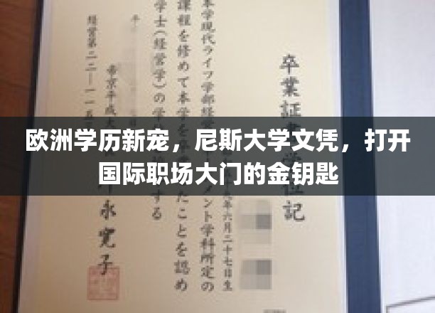 欧洲教育新地标，尼斯大学学位，解锁全球职场新机遇