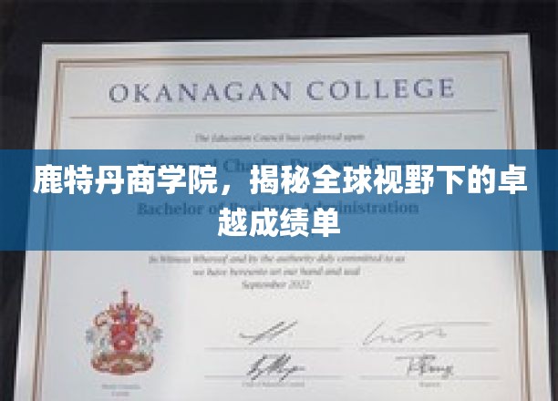 鹿特丹商学院，揭秘全球视野下的卓越成绩单