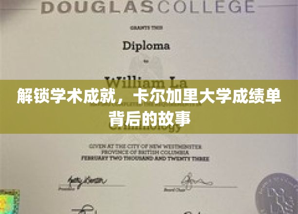 解锁学术成就，卡尔加里大学成绩单背后的故事