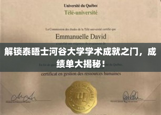 探寻泰晤士河谷大学学霸秘籍，揭秘卓越成绩背后的故事