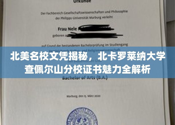 解码北美精英学府，北卡罗莱纳大学查佩尔山分校文凭魅力大揭秘