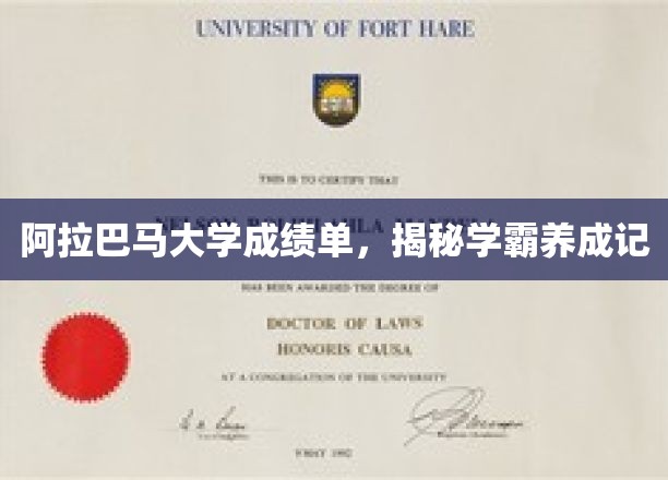 阿拉巴马大学成绩单，揭秘学霸养成记