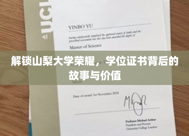 解锁山梨大学荣耀，学位证书背后的故事与价值