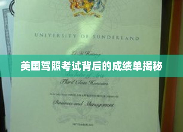 美国驾照考试背后的成绩单揭秘