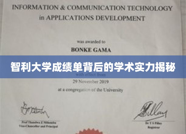 智利大学成绩单揭示，隐藏的学术实力与真实教学水平大揭秘