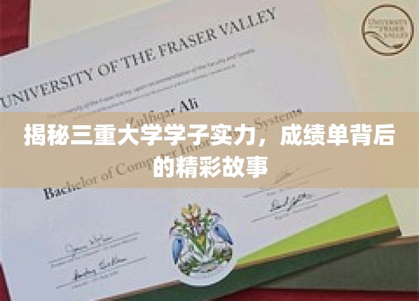 揭秘三重大学学子实力，成绩单背后的精彩故事