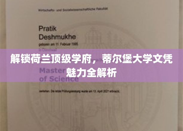 揭秘荷兰顶级学府，蒂尔堡大学文凭魅力全解析
