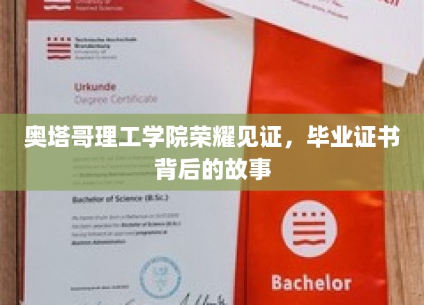 奥塔哥理工学院荣耀瞬间，毕业证书背后的传奇之旅