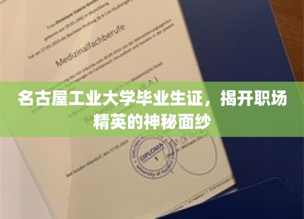 名古屋工业大学毕业证背后的职场精英养成记