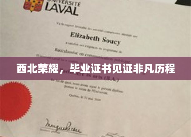 西北荣耀之路，毕业证书映照不凡成长足迹