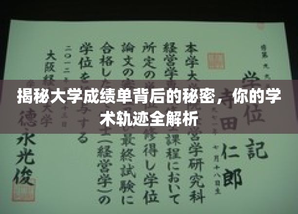 揭秘大学成绩单背后的秘密，你的学术轨迹全解析
