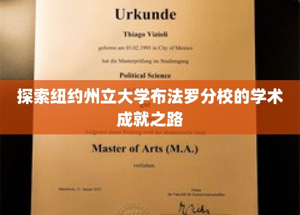 探索纽约州立大学布法罗分校的学术成就之路
