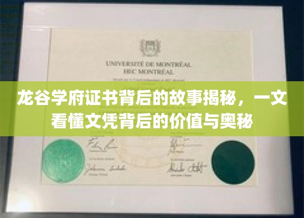 龙谷学府证书之谜，揭秘文凭背后的深层价值与不为人知的秘密