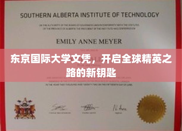 东京国际大学文凭，解锁世界精英通行证