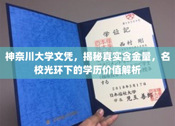 神奈川大学文凭探秘，名校光环下的学历价值深度剖析
