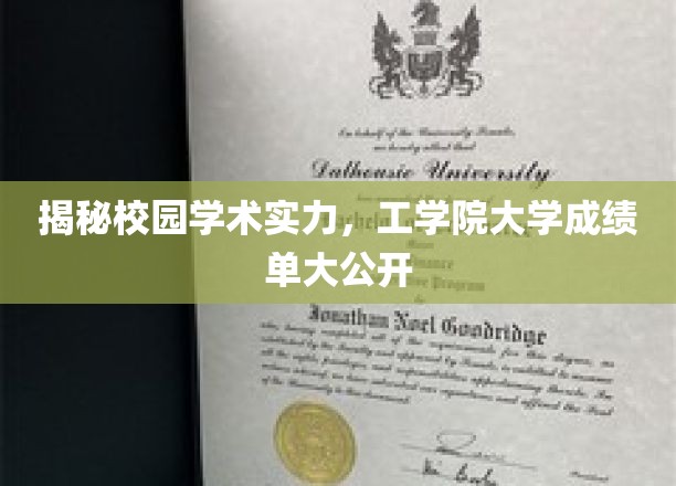 高校工学院实力对决，揭秘隐藏的学霸成绩单！